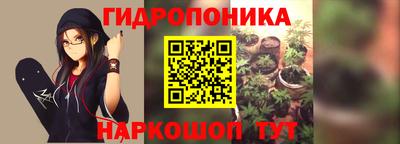 ALPHA PVP Сланцы