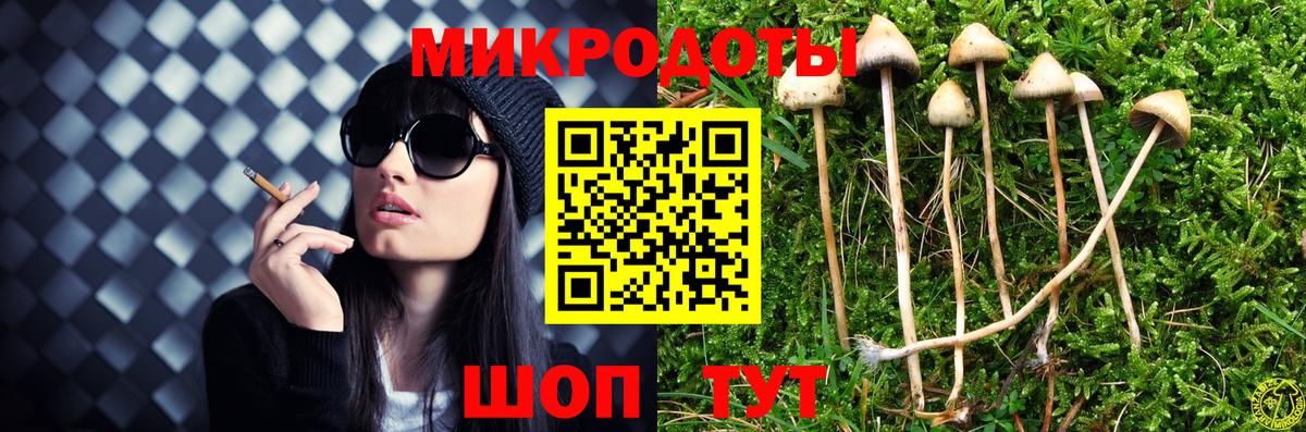 Псилоцибиновые грибы MAGIC MUSHROOMS  Псилоцибиновые грибы Cubensis  Вход с VPN  Нефтекумск 