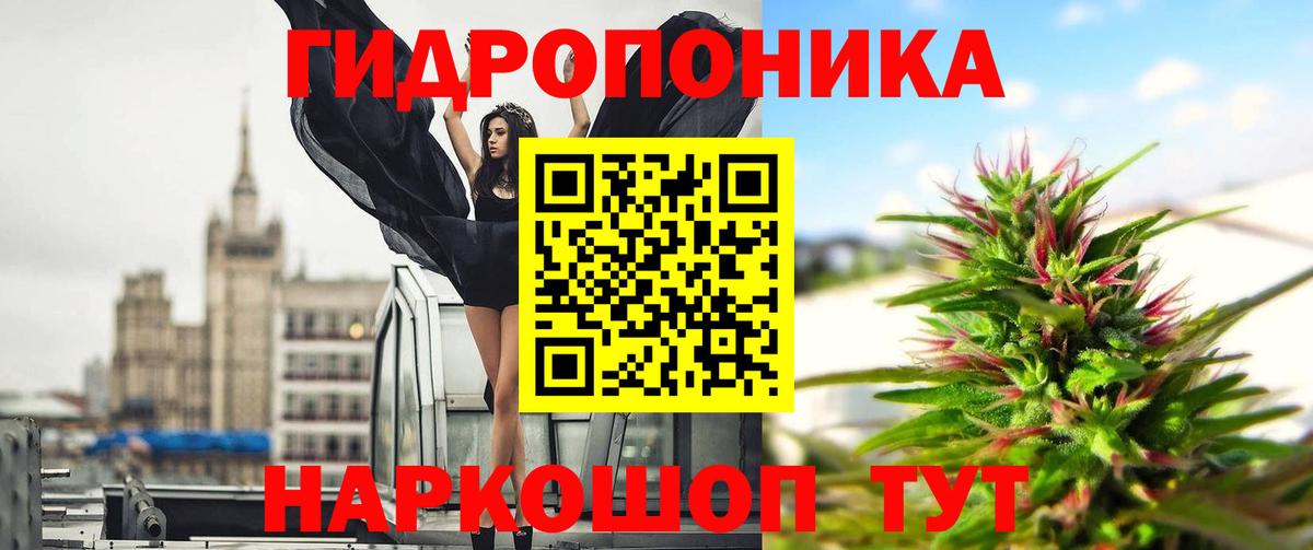 Каннабис White Widow  Конопля THC 21%  Вход с VPN  Нефтекумск  Марихуана конопля 